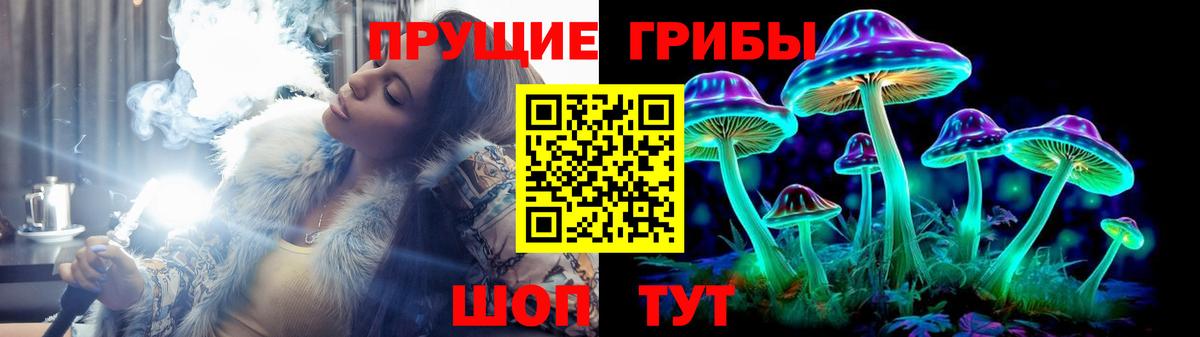 Черняховск  Галлюциногенные грибы Magic Shrooms  Вход с VPN 